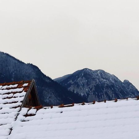 Casa Piatra Craiului Zarnesti Exterior foto