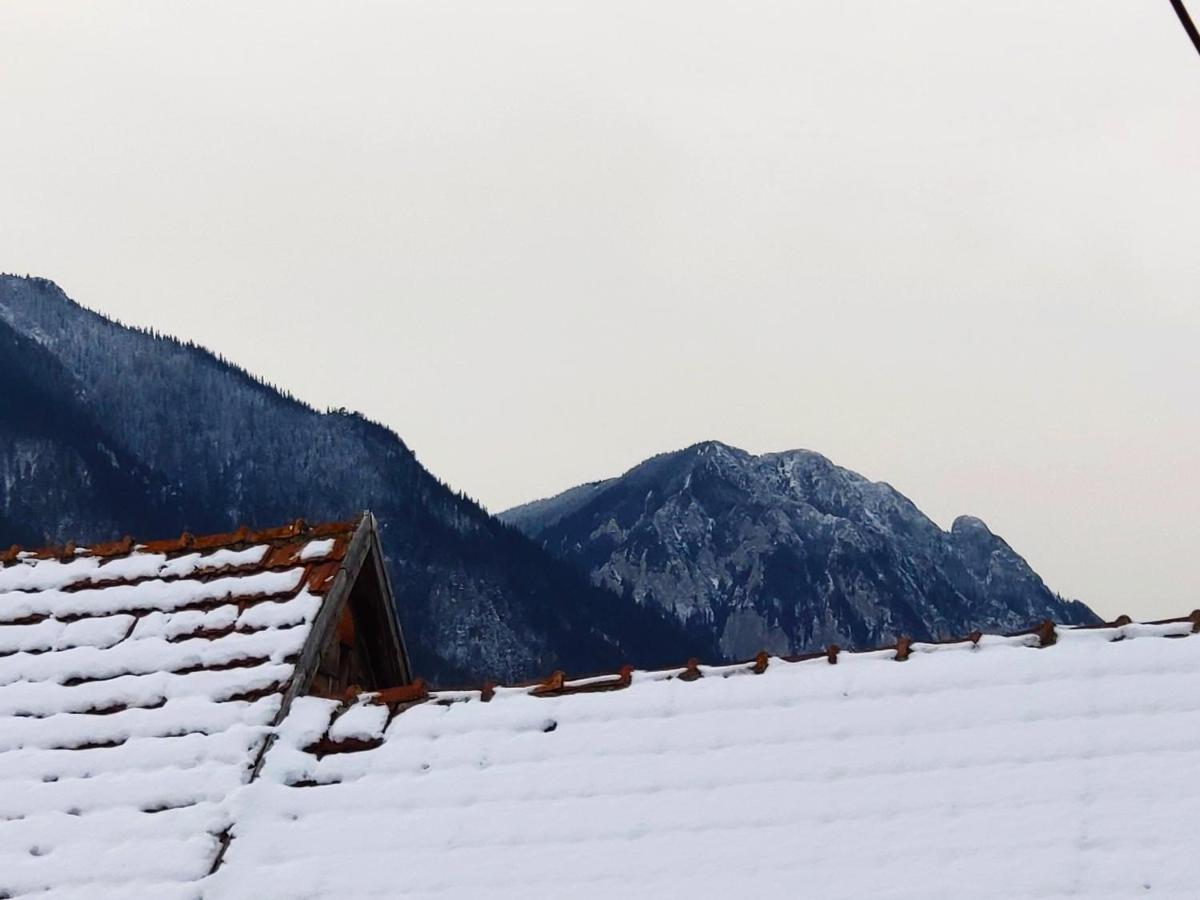 Casa Piatra Craiului Zarnesti Exterior foto