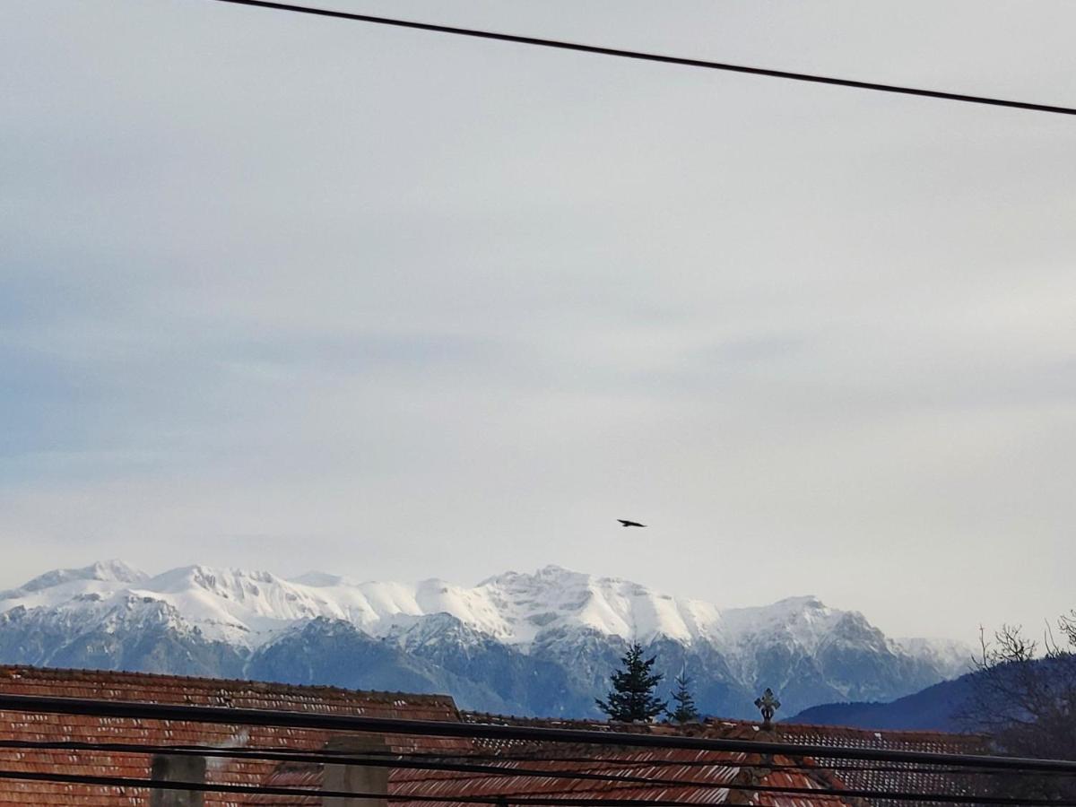 Casa Piatra Craiului Zarnesti Exterior foto