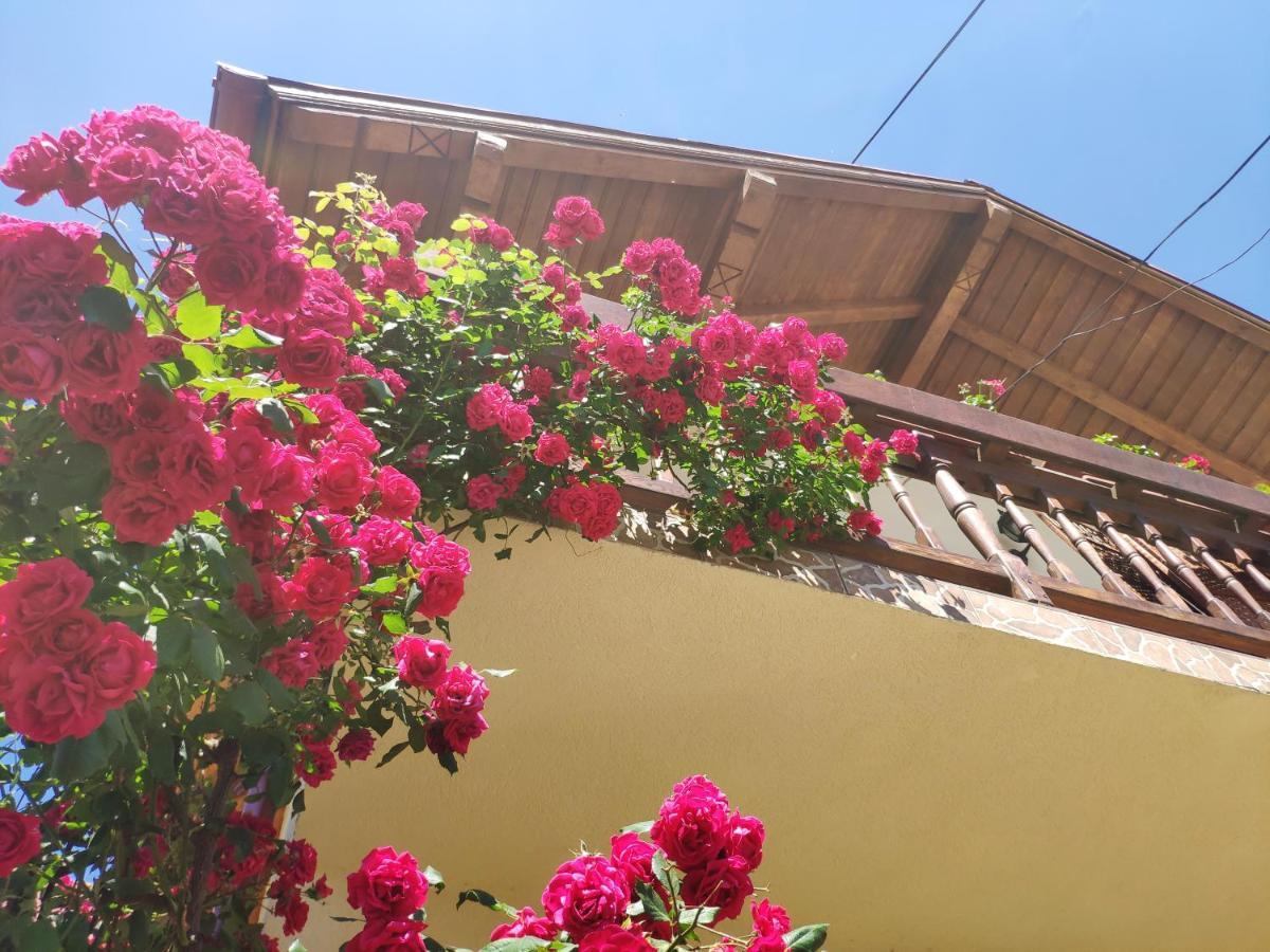 Casa Piatra Craiului Zarnesti Exterior foto