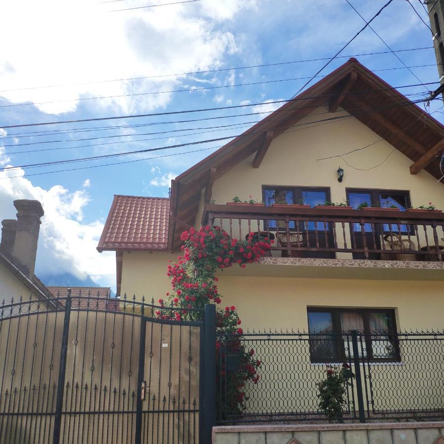 Casa Piatra Craiului Zarnesti Exterior foto