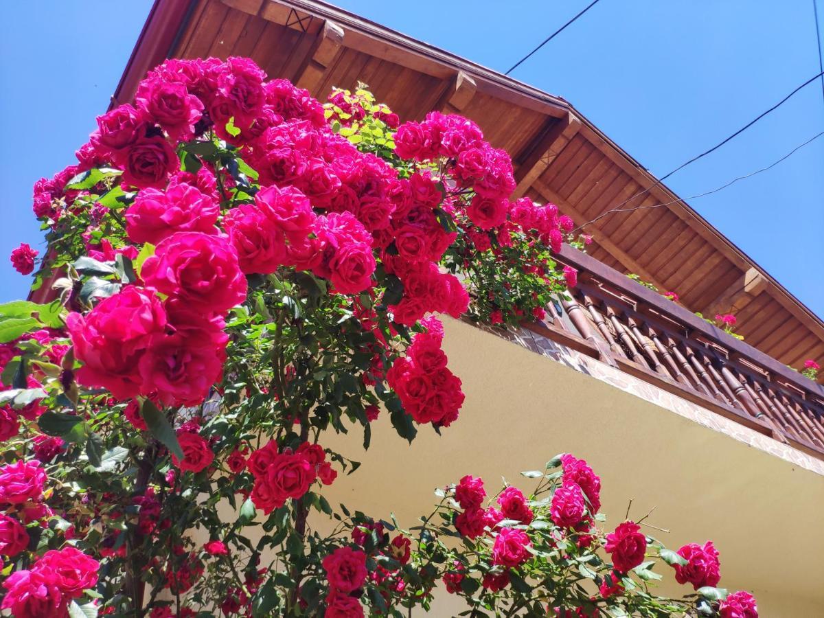 Casa Piatra Craiului Zarnesti Exterior foto
