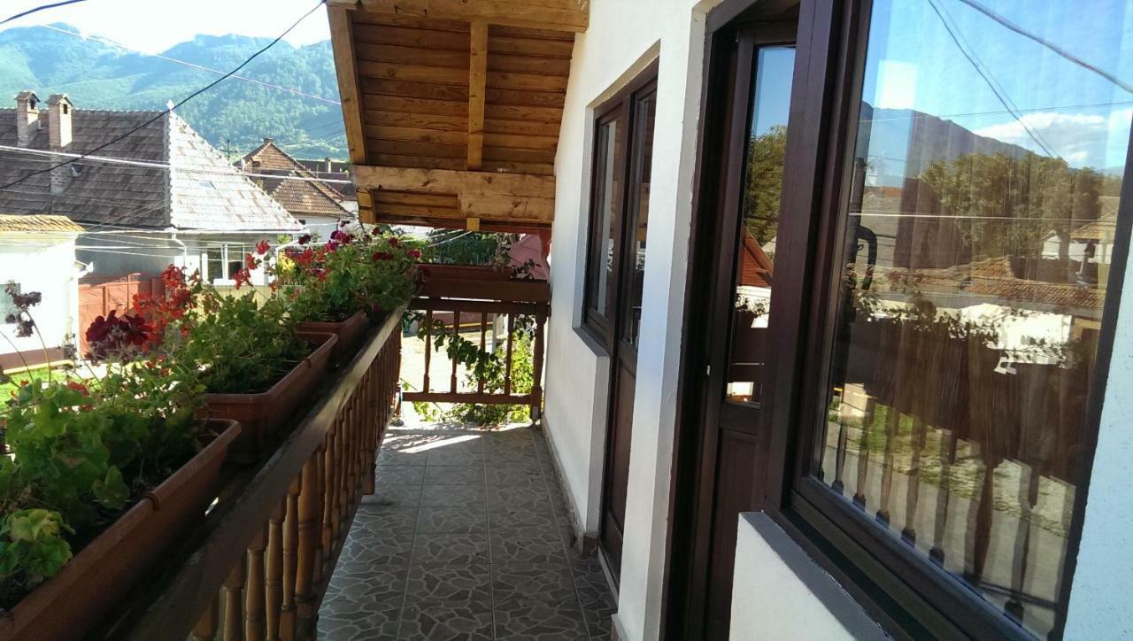 Casa Piatra Craiului Zarnesti Exterior foto