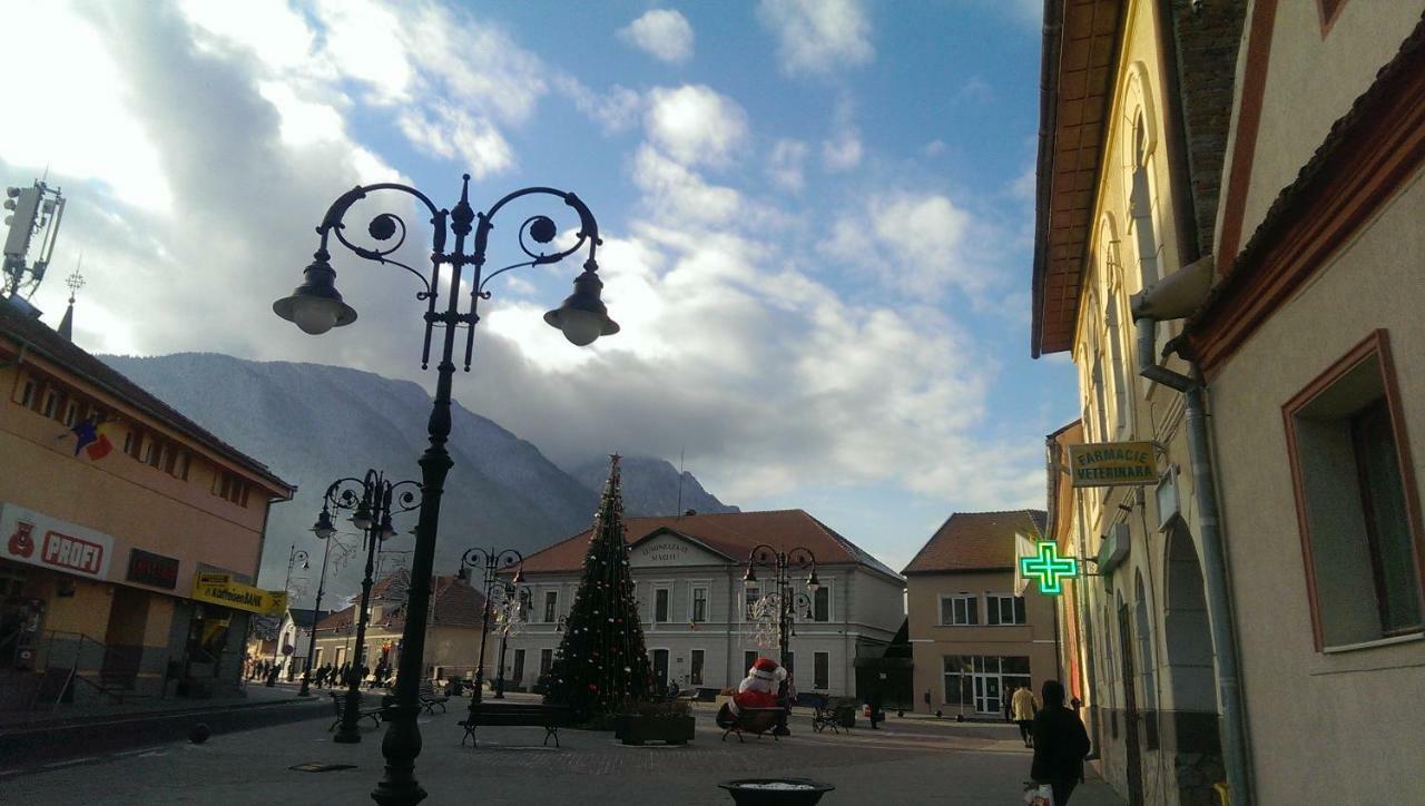 Casa Piatra Craiului Zarnesti Exterior foto